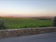 Casa Guardiavigna in Chianti