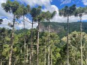 Eco Cabanas Kaapuã - Guaraipo