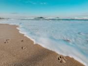 Top Balneário Barra do Sul