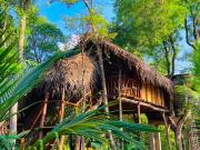 Green land tree house sigiriya