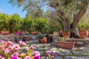 Top Skopelos Town