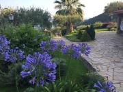 Top Moneglia