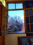 Green space apartment