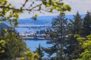 Top Nanaimo