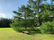 Top Capilla del Señor