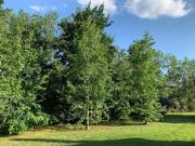 Top Capilla del Señor