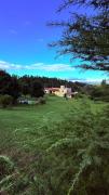 Posada Sausalito
