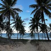 Apartamento Reserva Imbassaí