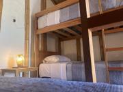 Top Los Órganos Top Los Órganos