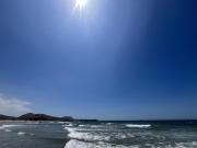 Top Los Órganos Top Los Órganos