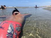 Top Los Órganos Top Los Órganos