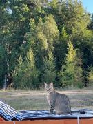 Top Huiscapi Top Huiscapi