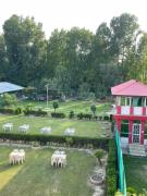 Top Srinagar