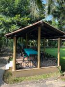 Top Sauraha