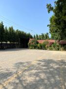 Top Sauraha
