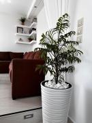 Villa Evita - Sea View Apartment by Kostas