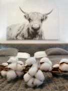 SmartApart - Design Apartment - Favorite Place - Full Equipment - Public Transport