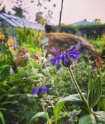 Beautiful traditional villa in central Hanko Beautiful traditional villa in central Hanko