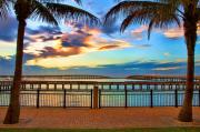 Top Port Charlotte