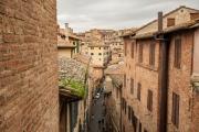 Top Siena