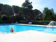 Apartment in Porto Santa Margherita 42866