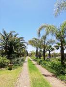 Timeless at Rusticana