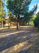 Top Viedma
