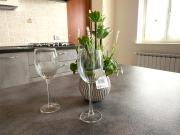 Top CastellʼAlfero Top CastellʼAlfero