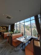 Top Solan