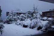 Top Katoomba