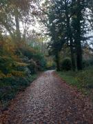 Grove View log house