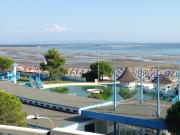 Top Grado