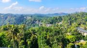 Top Munnar