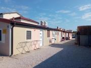 Top Betina Top Betina