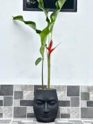 Top Santa Fe de Antioquia