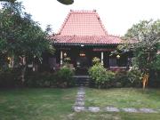 Top Krambitan