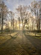 Apartment "Küstenperle" Parkresidenz Dierhagen-Strand