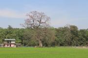 Top Chitwan