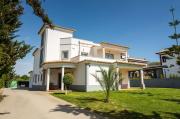 Casa Coelho Casa Coelho