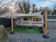 Mehefin Coed co llwyn Celyn