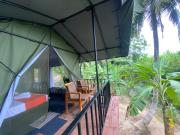 coconut camp udawalawe