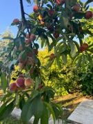 Top Douăzeci şi Trei August