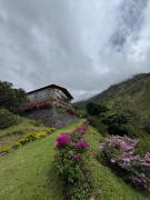 Top Baños
