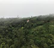 Top Vagamon