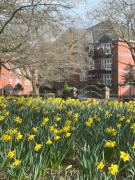 2025 Award Winner Liverpool Cherry House - 4 Bedrooms 2025 Award Winner Liverpool Cherry House - 4 Bedrooms