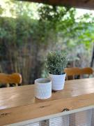 Top Saint Helier Jersey