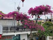 Top Ninh Binh Top Ninh Binh