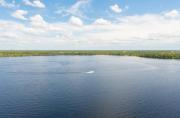 Top Orlando
