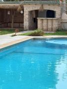 Top Ifrane