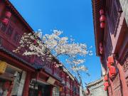 Top Luoyang